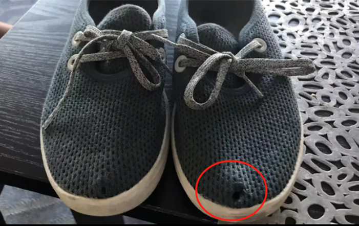 一年血亏10亿，美股上市大卖突围失败