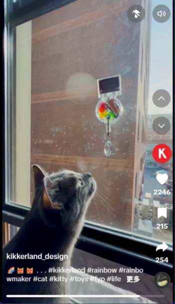 猫咪爱上混凝土！宠物赛道正被这些“反常识”爆款改写