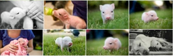 最新侵权案件来袭！710家店铺被起诉，这些产品不能再卖！