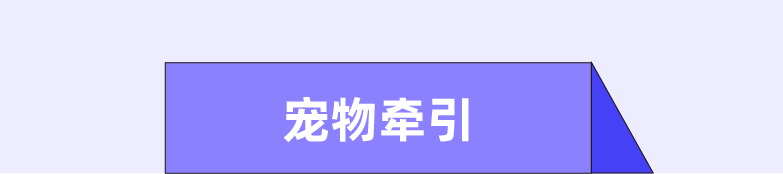 东南亚养宠率过半？“情感经济”背后萌宠市场快速崛起