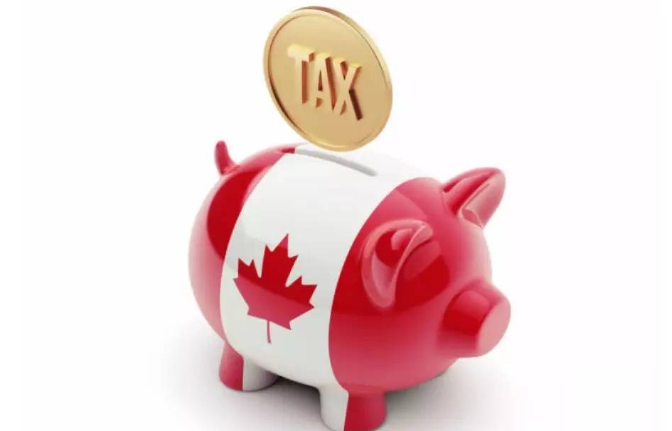 北美电商的蓝海，是你了解的样子吗？