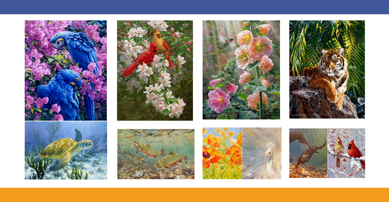 已有33个被告！加拿大艺术家6个野生动物版权TRO！