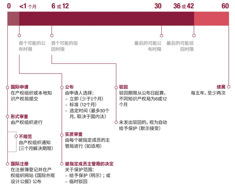離譜！積壓近80萬件專利未審查！賣家如何快速拿下美國外觀專利？