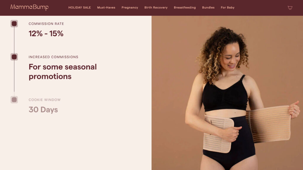 撬動海外市場350%增長！精細(xì)化聯(lián)盟傭金真的很“香”