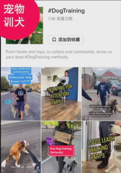 备战2023黑五，TikTok Shop旺季爆品预测