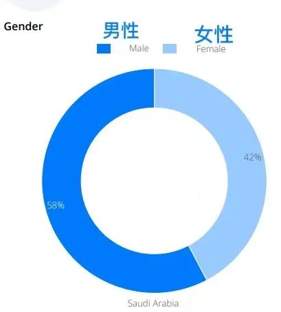 豪气站点要腾飞！深度解析2022亚马逊中东站到底怎么赚