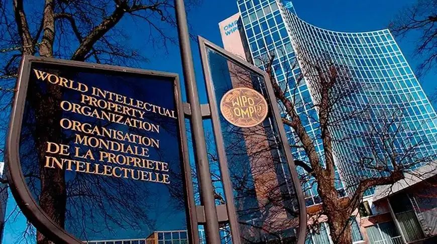 保卫饺子！韩国申请饺子专利，跨境卖家真正该警惕的是什么？