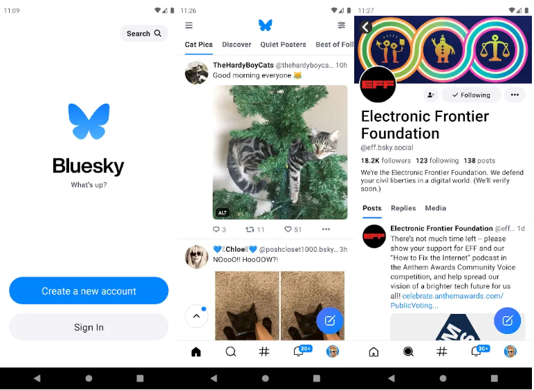 Twitter平替 Bluesky 在 App Store 下载量猛增