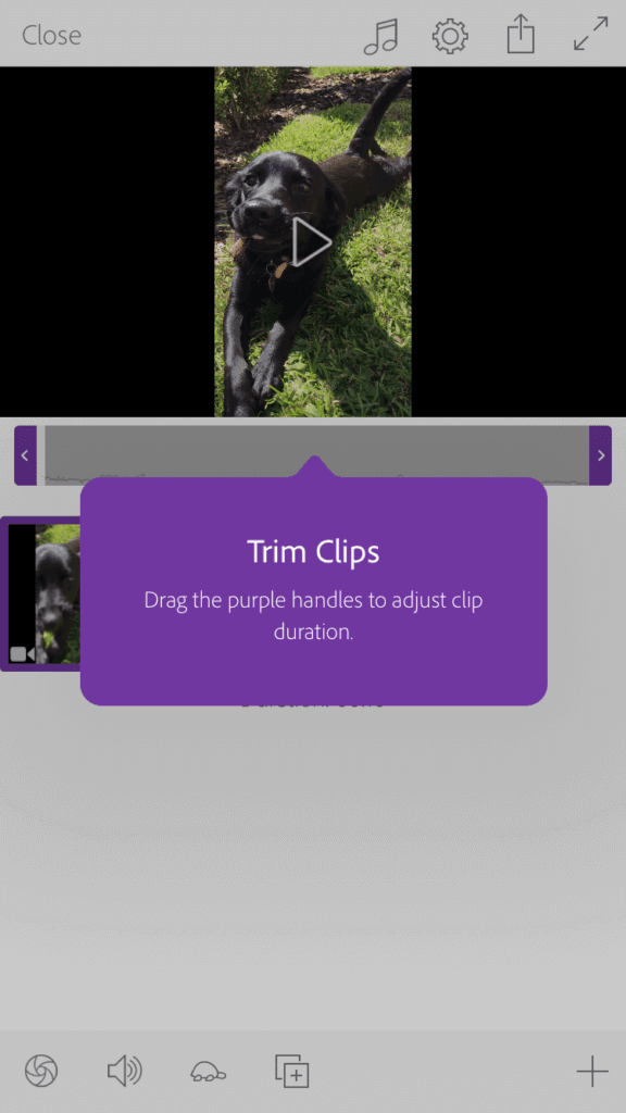 5款超易上手的视频制作神器,让你的广告立马有效!