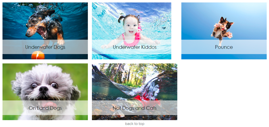 [22-3914、3892、3856]Keith代理摄影师Seth Casteel发案！尚未提起TRO动议