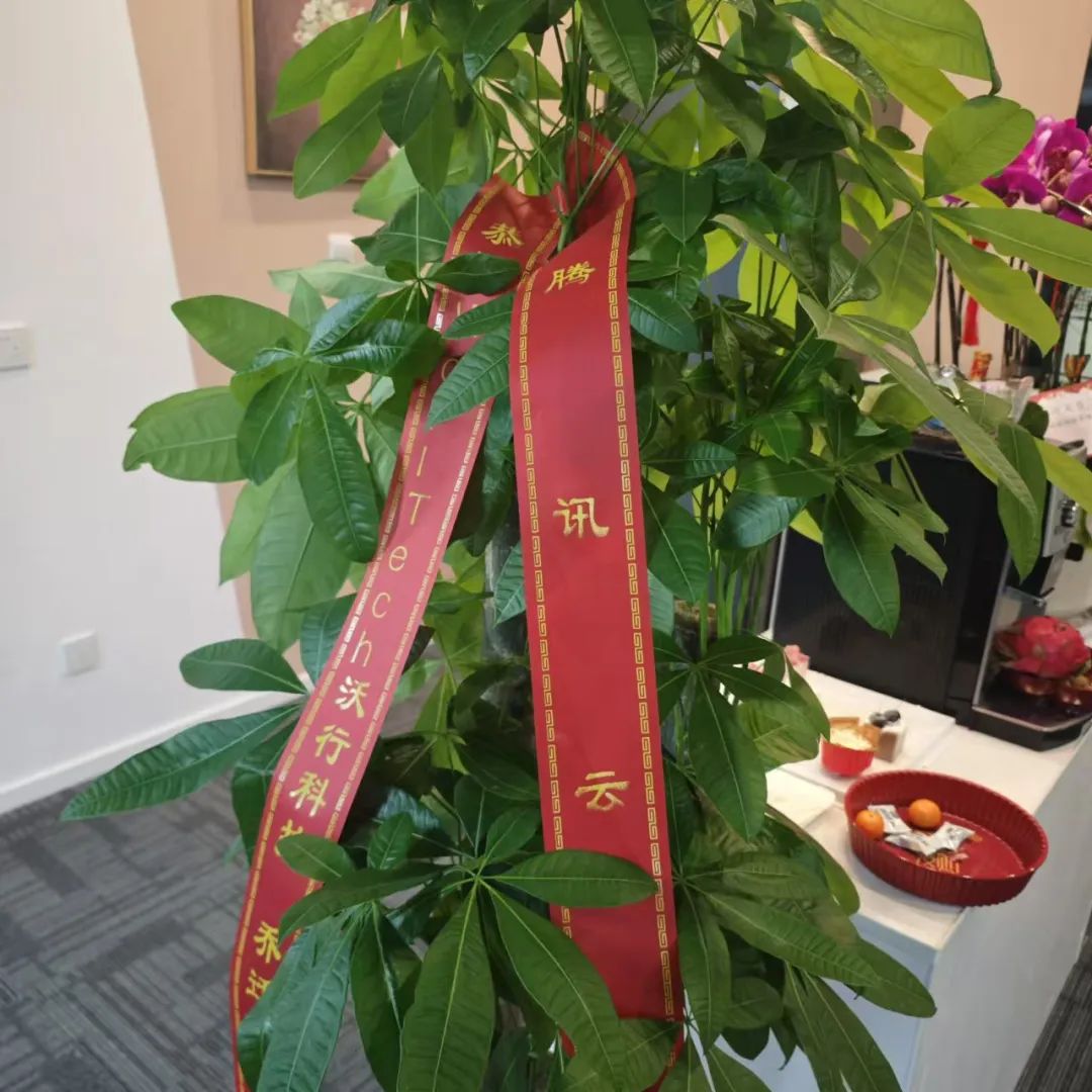 WallTech总部乔迁新址,开启未来新篇章