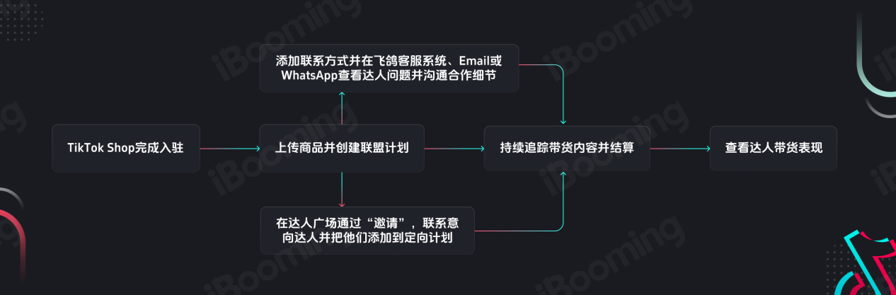 【干货】小白如何进行Tik Tok Shop达人合作