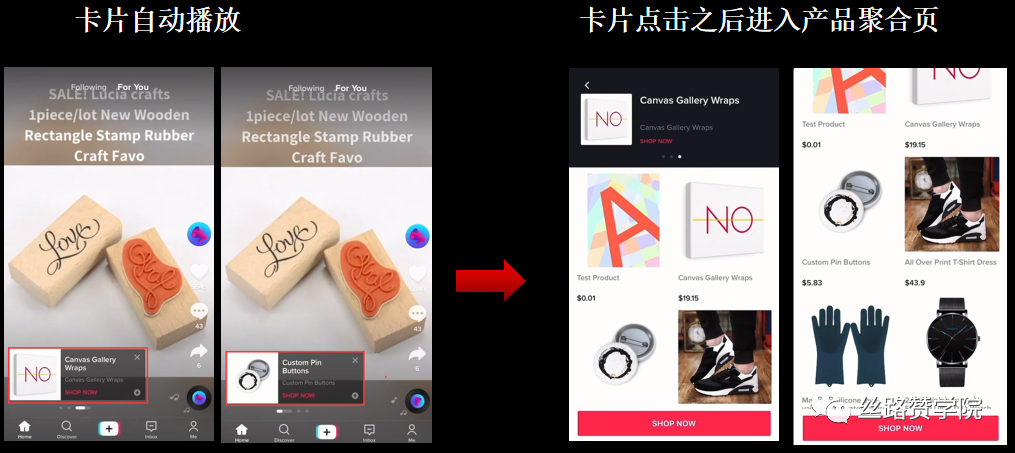 垂直精品独立站在TikTok For Business玩法