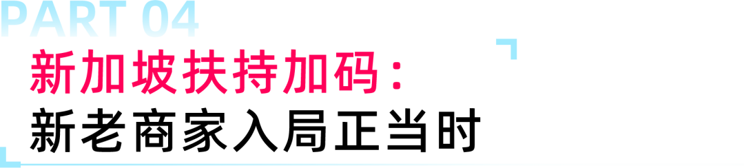 扶持新政落地！为什么2026跨境商家值得优先加码新加坡？