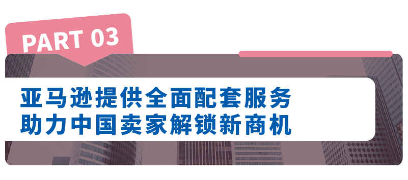 拉丁美洲市场新机遇：亚马逊洞察报告详解，揭示行业密码！