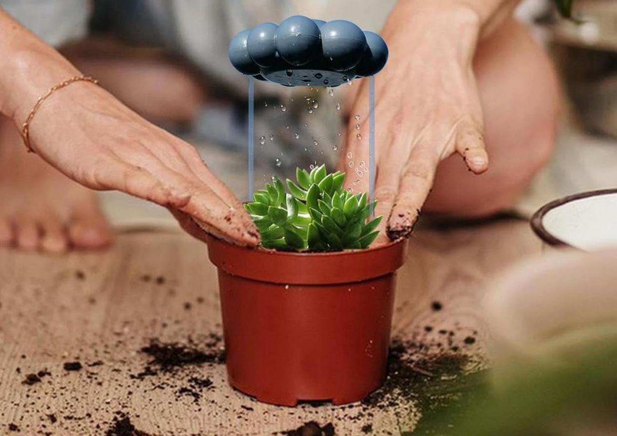 多人售卖的云朵植物浇水器Plant watering apparatus&nbsp;有多专利布局！谨慎上架！