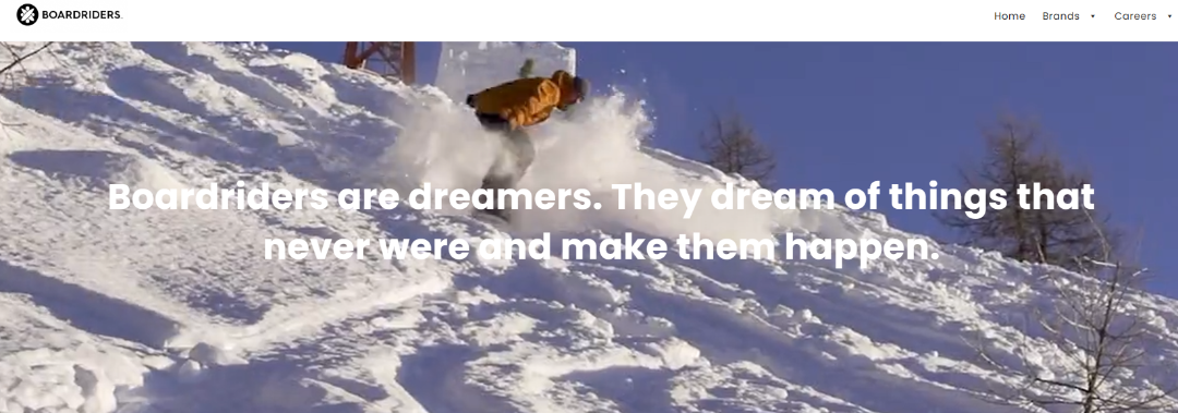 隐匿案件曝光！铁艺花盆架全面维权，户外运动BOARDRIDERS商标，太阳能滴灌机专利