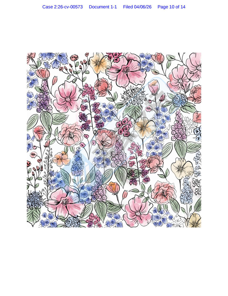 26-cv-00573,ANIS Illustration植物版权维权：182店面临TRO冻结危机