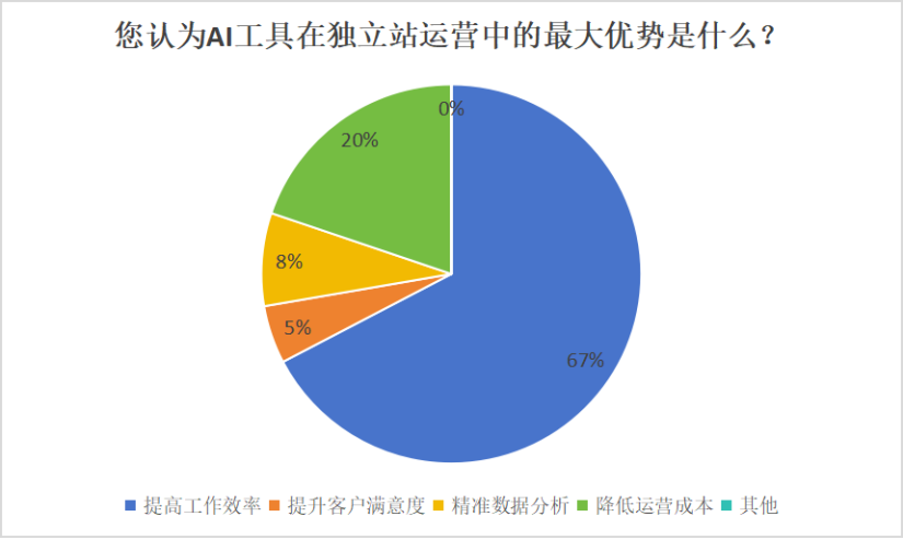 焦虑还是效率？独立站卖家的AI效率之争