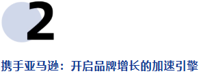 反向收购欧洲品牌，靠亚马逊年增50%，年销数千万