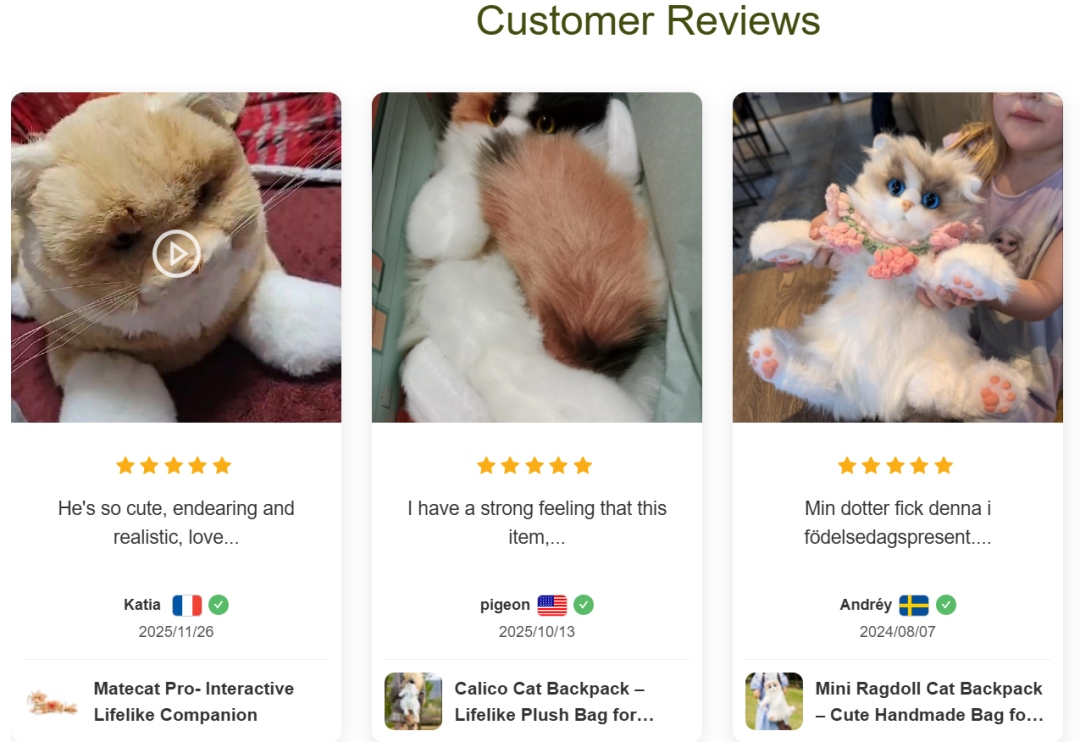 理工男转行干跨境，仿真宠物年销30万单，拿下类目第一