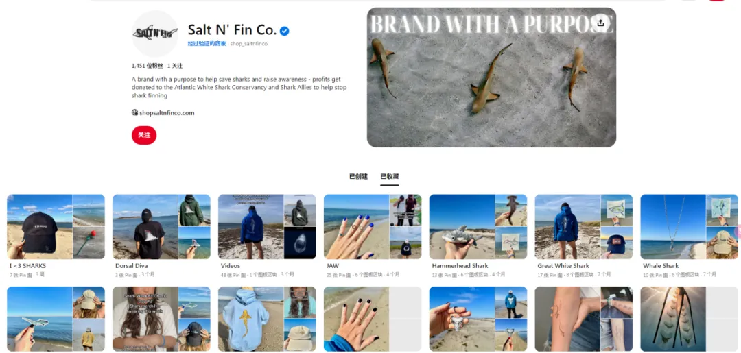 成本3块卖到100， 独立站靠这招火爆欧美市场