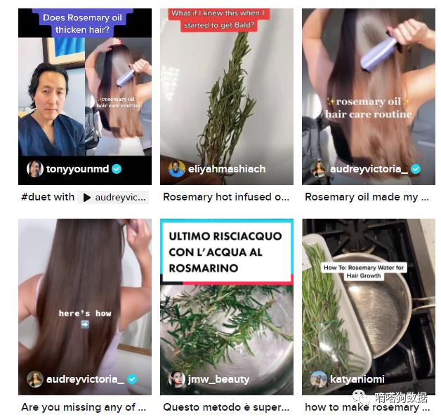 亚马逊搜索飙升,TikTok爆款“迷迭香生发油”成为老外植物护理“新欢”