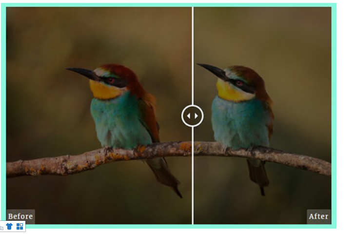 WordPress建站 | 如何添加Before and After功能