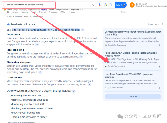 揭秘:你的网站在Google AI Overview中有排名吗?