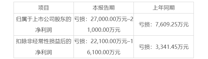 2024年哪些亚马逊大卖真的赚了？