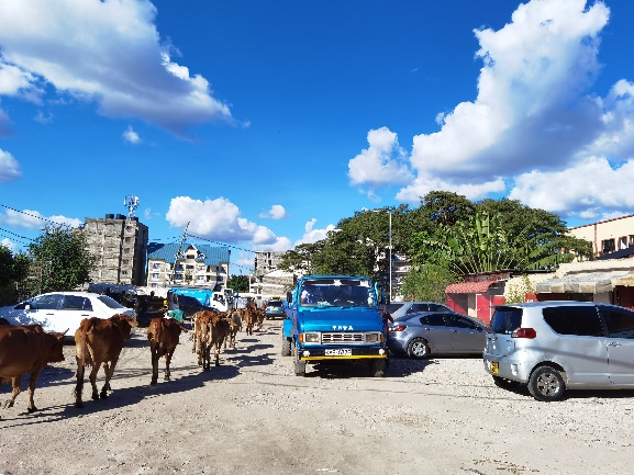 国潮当道,非洲国家的“非潮”是什么?