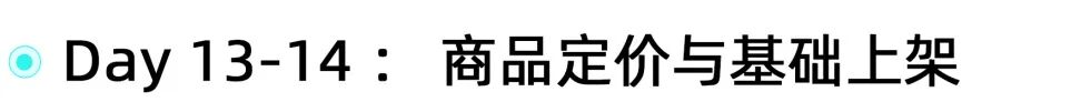 TikTok Shop东南亚跨境电商｜入驻到出单：新手全流程指南！