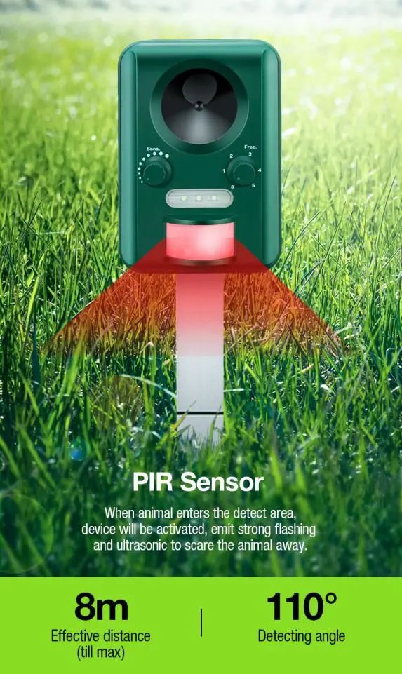 庭院+太阳能+实用性=？潜力选手即将出道