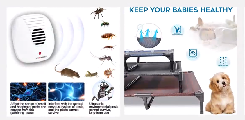 Prime Day前夕，優(yōu)化Listing時(shí)如何打造合規(guī)的主圖、附圖？