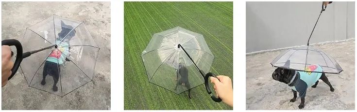 不断有链接被下架!?一波热销宠物用品“悄悄布局专利”,紧急规避!