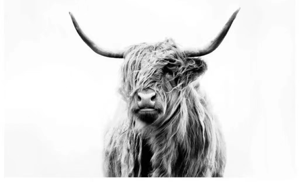 连发9案！流氓律所狂抓版权侵权，这64张图片不能碰！