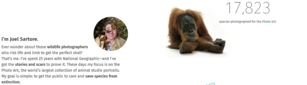 亚马逊邮件下发！Listing有用这几张图片的快删掉，已冻结521家店铺！