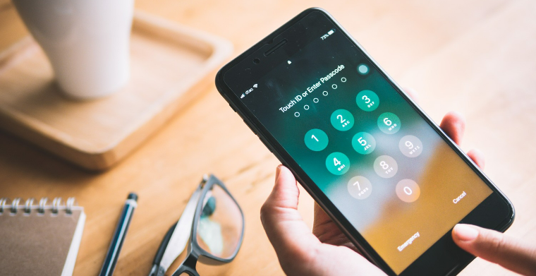 朴西、菲鹿儿、倍思等国货品牌出海的“致富经”