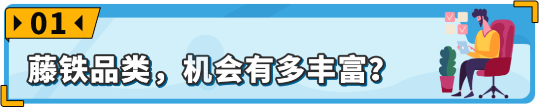 常被忽略却在亚马逊海外异常火爆！这个“冷门”品类商机藏不住了！