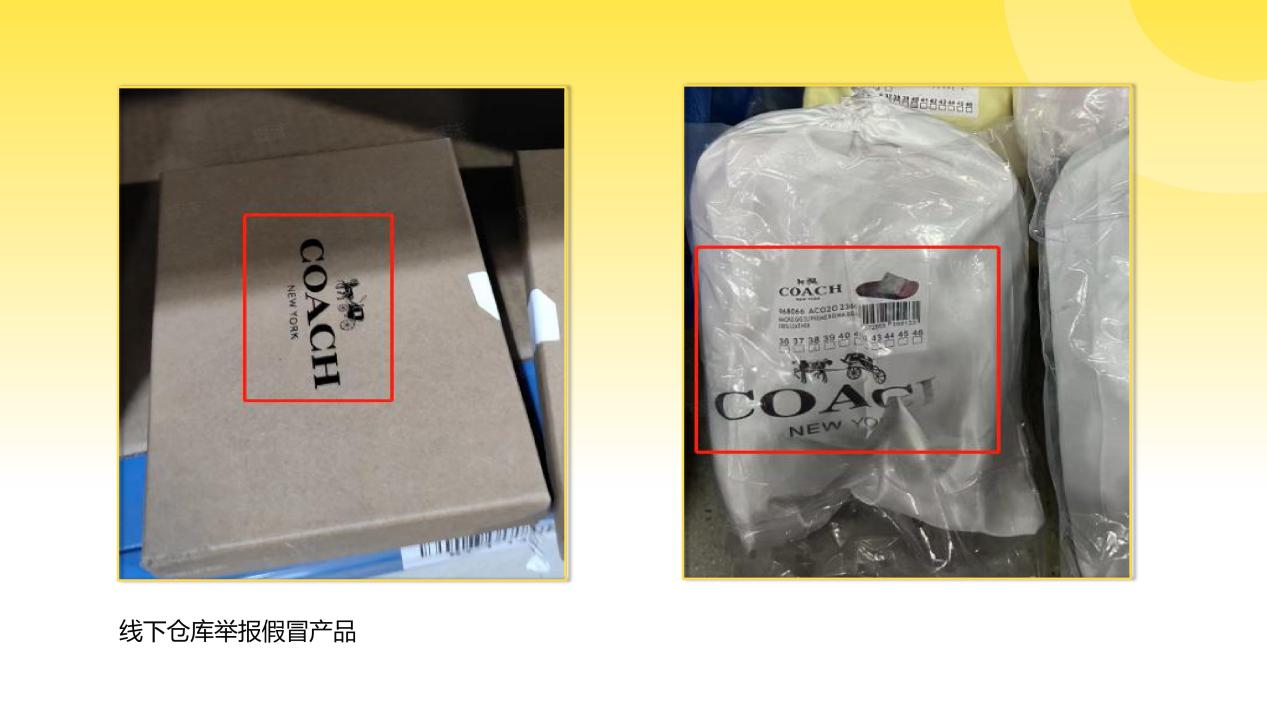 Fordeal知识产权治理月度专项报告（第三期 · 2025年8-10月）