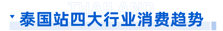 泰有料｜抓紧抢占这些增量机会！双十一爆发你准备好了吗？