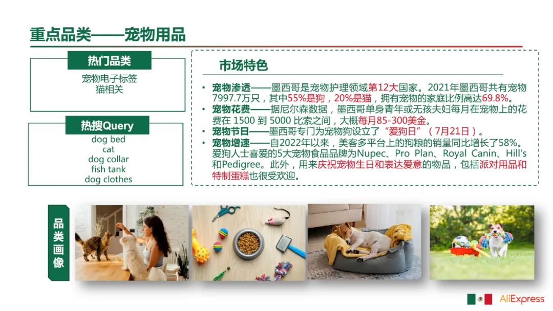 拉美商家請注意：這些家居爆品上架就搶空！