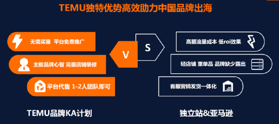 一文读懂TEMU品牌KA计划