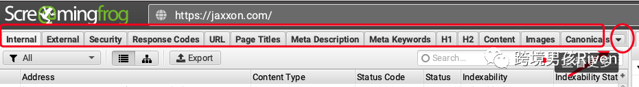 跨境男孩 | Screaming Frog（尖叫青蛙）：网站SEO技术诊断图文教程