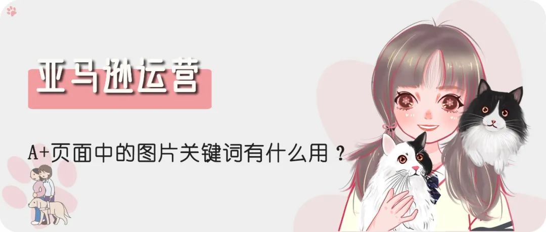 亚马逊产品A+页面中的图片关键词Image keywords有什么用？