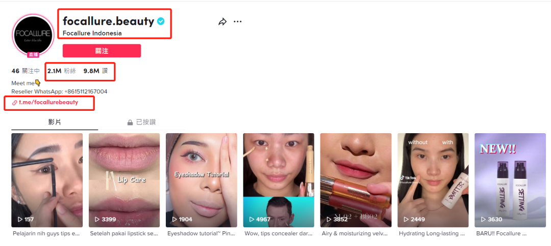 常年霸榜TK彩妆类目，看Focallure菲鹿儿如何玩转出海市场