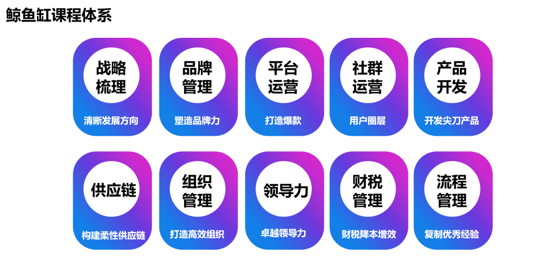 Payoneer派安盈客户专访：解密10亿级卖家增长体系可复制的成功模式