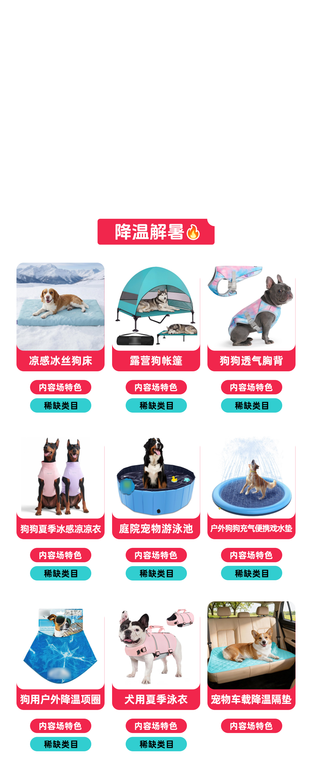 聚焦夏促增长方向，TikTok Shop美区宠物类目重点商家闭门会圆满落幕