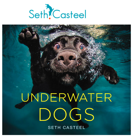 [22-3914、3892、3856]Keith代理摄影师Seth Casteel发案！尚未提起TRO动议