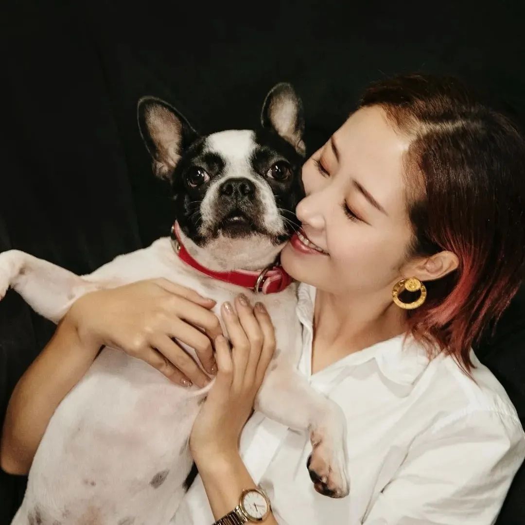 8年設(shè)計(jì)師轉(zhuǎn)型獨(dú)立站出海，寵物用品新品牌從0到1如何冷啟動(dòng)？